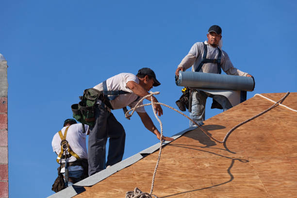 Best Roof Maintenance Services  in Holiday Heights, NJ